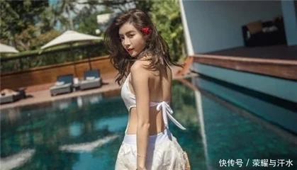 美丽的小蜜蜂美版满天星